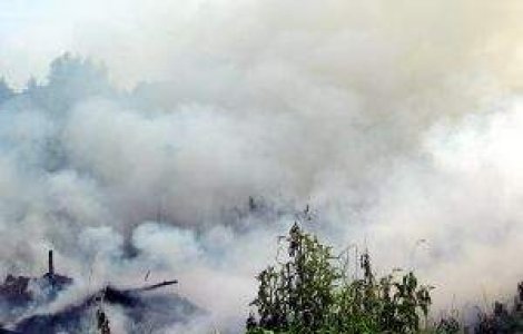 Recompensa pentru cine denunta incendiatorii de miriste