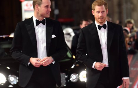 Printii William si Harry anunta separarea familiilor lor la nivel de reprezentanti oficiali