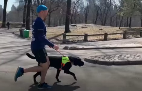 Thomas Panek, primul alergator nevazator care a terminat o cursa asistat doar de caini ghizi/ VIDEO