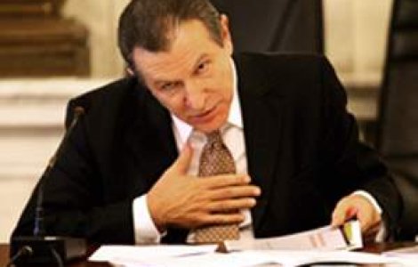 Berceanu: E foarte interesanta ideea organizarii alegerilor prezidentiale odata cu cele pentru PE