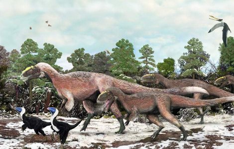 Descoperire cu pene: Cel mai mare dinozaur cu fulgi din lume