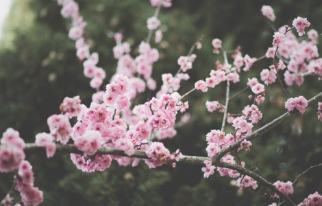 Prognoza meteo pana la sfarsitul lunii martie. Scad temperaturile in perioada urmatoare