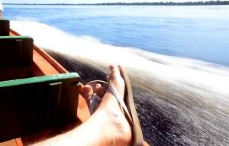 Plimbari gratuite cu vaporasul pe Herastrau