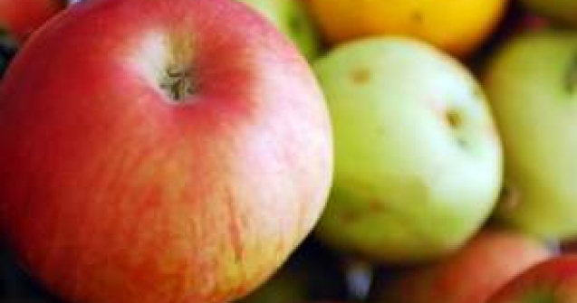 Copiii nu primesc mere la scoala, din cauza birocratiei