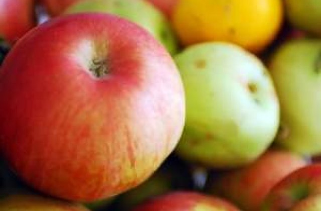 Copiii nu primesc mere la scoala, din cauza birocratiei