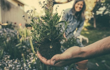 Studiu: Mersul pe jos sau gradinaritul timp de 10 minute pe saptamana poate reduce riscul de deces