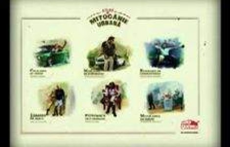 Pitipoanca de companie, specie noua in Atlasul de Mitocanie Urbana