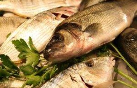 "Dezlegare" la amenzi: Nereguli gasite la 70% dintre comerciantii de peste