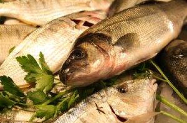 "Dezlegare" la amenzi: Nereguli gasite la 70% dintre comerciantii de peste