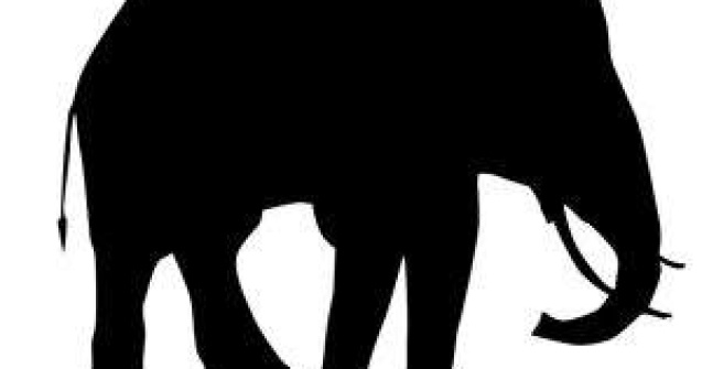  Foto  Un elefant a aparut pe Marte