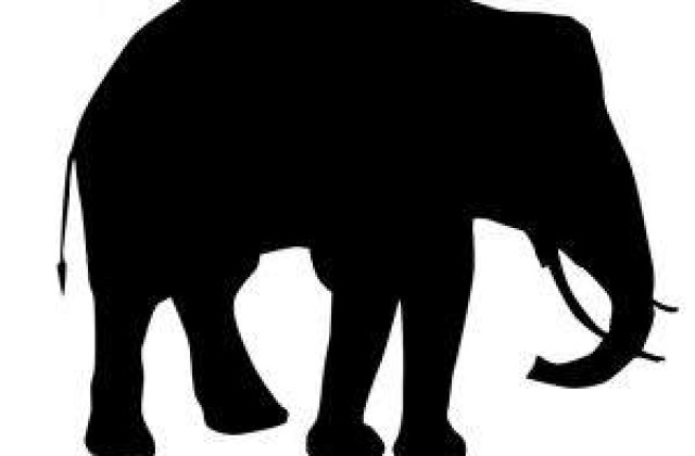 [FOTO] Un elefant a aparut pe Marte