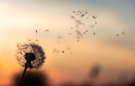 Cod GALBEN de vant puternic in 15 judete, pana miercuri seara