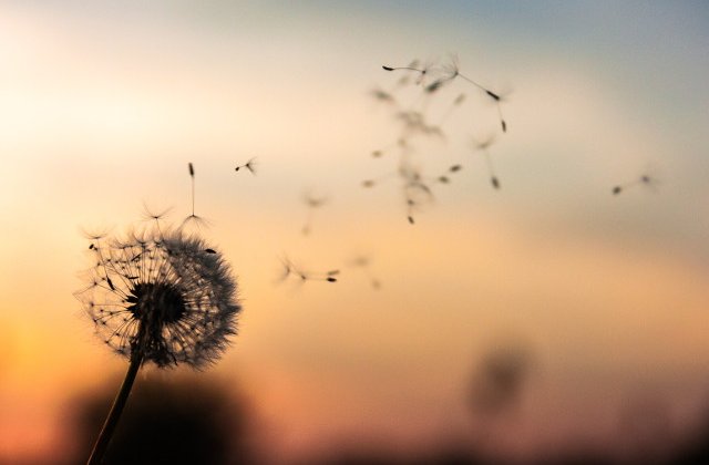 Cod GALBEN de vant puternic in 15 judete, pana miercuri seara