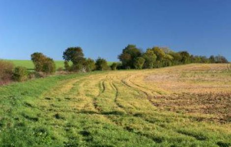 Cat da statul pe terenurile agricole confiscate in comunism