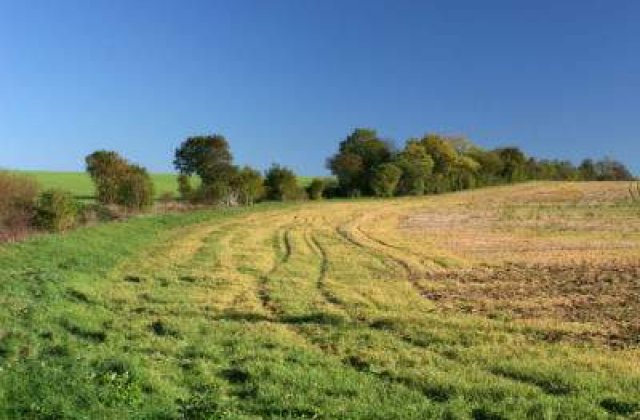 Cat da statul pe terenurile agricole confiscate in comunism