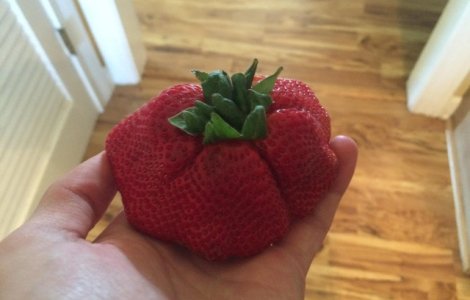  Top  Norocul le-a suras: 15 imagini care ilustreaza ce inseamna sa castigi la "loteria alimentelor"