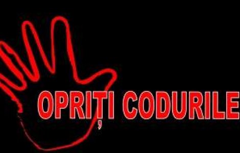 'Opriti Codurile'