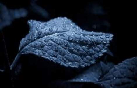 Avertizare: Vremea se inrautateste in toata tara