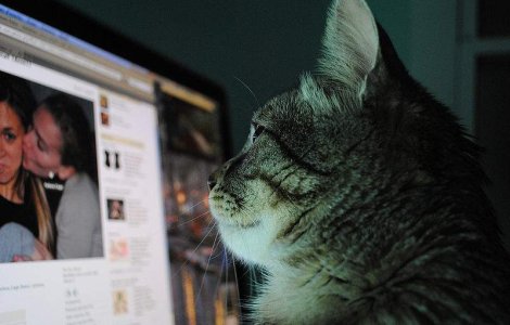 Cele mai populare vedete din Romania pe Facebook