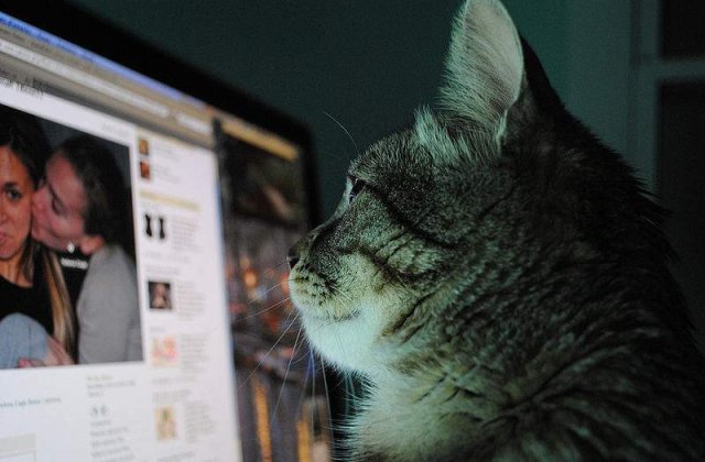 Cele mai populare vedete din Romania pe Facebook