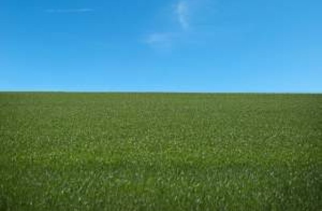 Cat pierde Agricultura din cauza iernii grele?