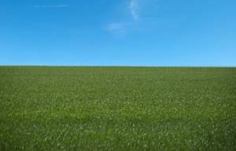 Cat pierde Agricultura din cauza iernii grele?