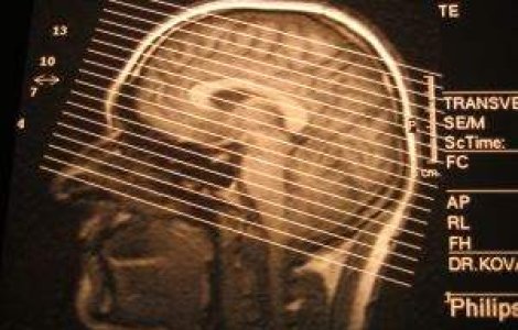 Tanarul care a protestat nud, internat la psihiatrie