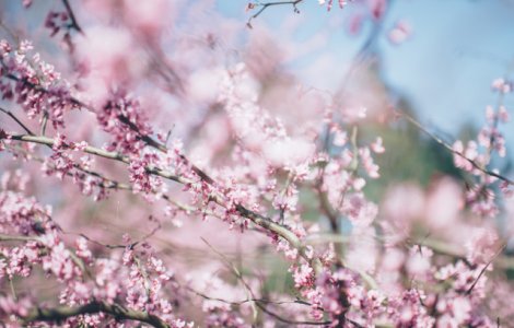 Vreme schimbatoare la inceput de aprilie. Prognoza meteo pe doua saptamani