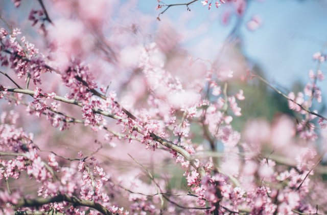 Vreme schimbatoare la inceput de aprilie. Prognoza meteo pe doua saptamani