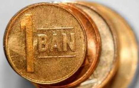 Cursul a stagnat dupa decizia BNR