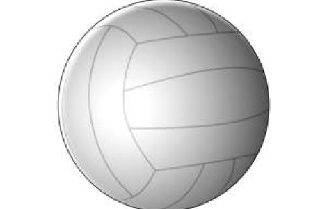 Remat Zalau, campioana nationala la volei masculin