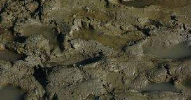 Copii blocati pe munte, din cauza unei alunecari de teren