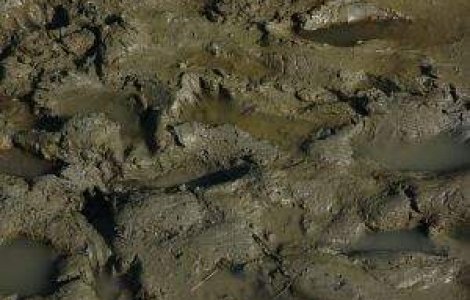 Copii blocati pe munte, din cauza unei alunecari de teren