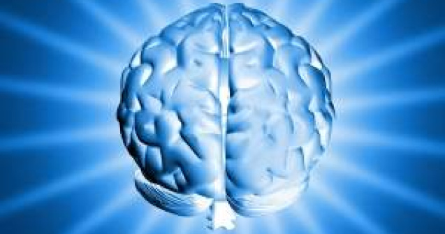 Studiu: Inteligenta vine odata cu materialul genetic