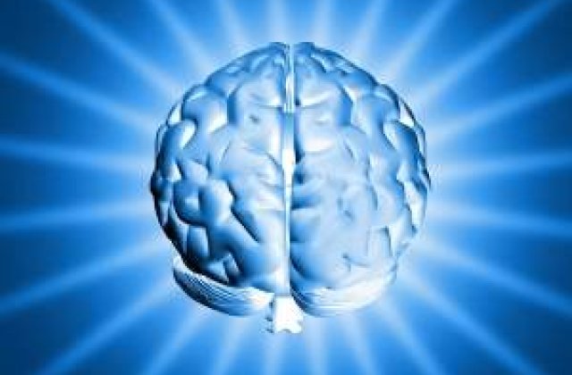 Studiu: Inteligenta vine odata cu materialul genetic