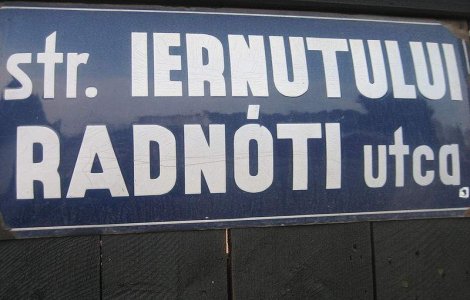 UDMR vrea ca maghiara sa devina limba oficiala la nivel regional in 20 de ani