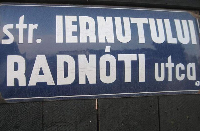 UDMR vrea ca maghiara sa devina limba oficiala la nivel regional in 20 de ani