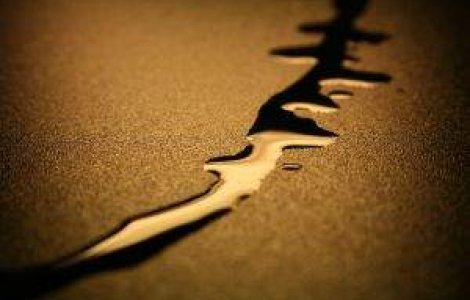 Furtul de produse petroliere, ignorat de politisti in schimbul mitei