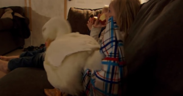 Relatia adorabila si neobisnuita dintre o fetita si o ratusca