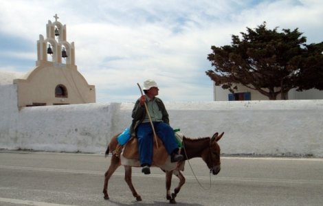 Autoritatile din Grecia vor sa interzica turistilor supraponderali sa mearga pe magari
