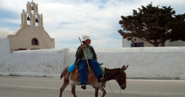 Interzis turistilor supraponderali sa mearga calare pe magari
