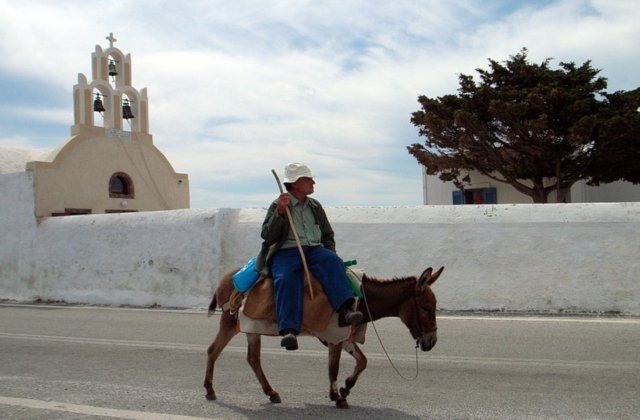 Autoritatile din Grecia vor sa interzica turistilor supraponderali sa mearga pe magari
