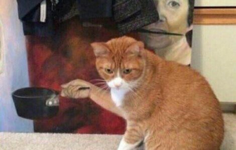  Top  De la iluzii optice in natura pana la sincronizari de exceptie: 20+ imagini care te vor deruta