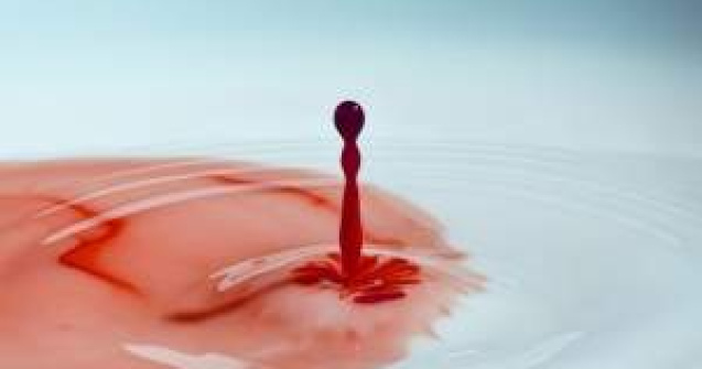 Atentie la capuse! Problema se agraveaza la Bucuresti si Sibiu