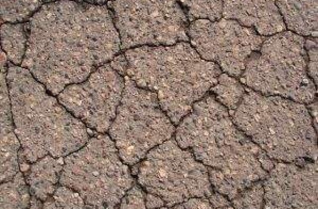 Romanul care va salva retelele de drumuri ale lumii