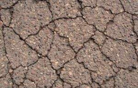 Romanul care va salva retelele de drumuri ale lumii