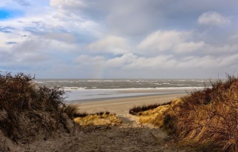 Avertisment Politia Romana: A nu se deschide pachetele gasite pe plaja!/ VIDEO