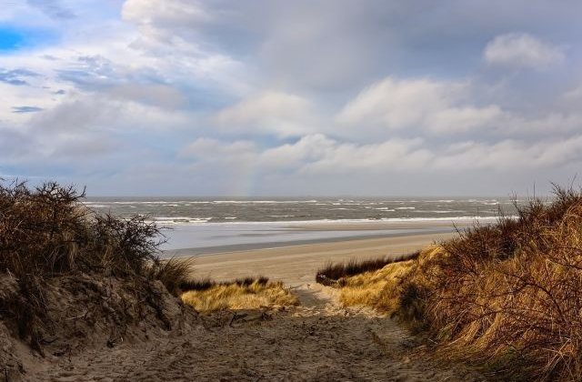 Avertisment Politia Romana: A nu se deschide pachetele gasite pe plaja!/ VIDEO