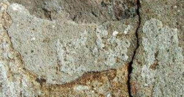 Cutremur de 6,6 grade in provincia indoneziana Papuasia