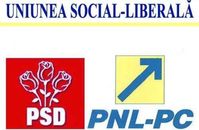 Iliescu: USL are nevoie de candidati cu priza la public